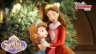 Peace and Joy  Music Video  Sofia the First  disneyjr [upl. by Anival]