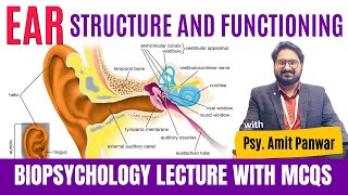 Structure and Functioning of Ear  Complete Biopsychology Lecture by Psychologist Amit Panwar [upl. by Naugan122]