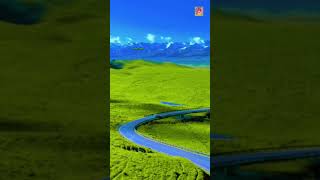 Utra na Dil mein koi youtubeshorts bangladesh song hindisong foryou love scenery foryou fyp [upl. by Penny]