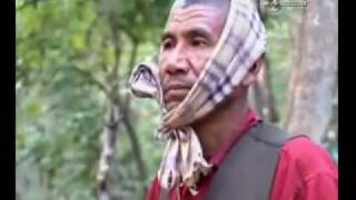 Documentary About Buddha Boy 4 of 5 Ram Bahadur Bamjan  Prahlad Jani [upl. by Eiramik293]