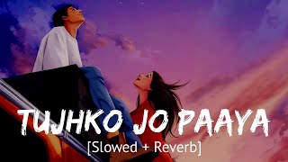 Tujhko jo paaya Slowed  Reverb Nikhil Dsouza  Bollywood hindi lofi song [upl. by Hullda]