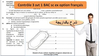 SVT 1BAC sc ex contrôle3  absorption de leau et des sels minéraux شرح بالداريجة [upl. by Brody]