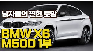 BMW X6 M50 자동차 실차주 인터뷰 1편 [upl. by Erasmus88]