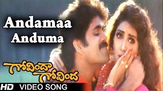 Govinda Govinda Movie  Andamaa Anduma Video Song  Nagarjuna  Sridevi  shalimarcinema [upl. by Lenny196]