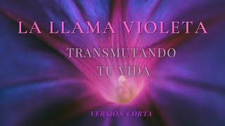 LA LLAMA VIOLETA💜 Versión Corta 🌀 Transmuta y Limpia KARMA MEDITACIÓN [upl. by Sirk591]