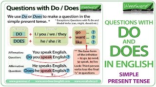 Do and Does in English  Simple Present Tense Questions [upl. by Stratton]