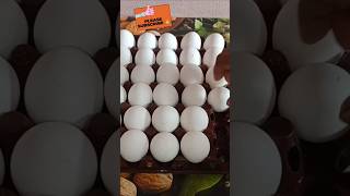 ఉడకబెట్టిన కోడిగుడ్డు లాభాలు  Boiled Egg Benifits ytshorts interestingfacts 1millionviews facts [upl. by Richmal]