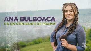 Himno de la Trinidad Pbro Cristóbal Fones SJ prodicción La Mesa de Todos año 2002 [upl. by Hazelton]