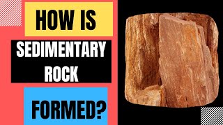 How Are Sedimentary Rocks Formed Weathering Erosion Deposition Compaction Cementation [upl. by Quince943]