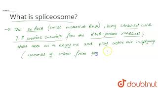 What is spliceosome [upl. by Nata]