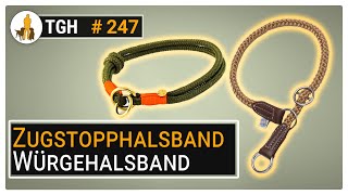 Zugstopphalsband  Würgehalsband  Schlupfhalsband  was halte ich von diesen Hilfsmitteln TGH 247 [upl. by Naor]