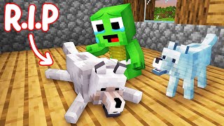 RIP Baby Mikey DOG  Sad Ending  Maizen Minecraft Animation [upl. by Oirottiv]