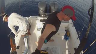 Pulley Ridge Fishing  55lb Black Grouper [upl. by Aliab568]