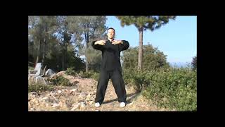 10 Min Daily Standing Meditation Zhan Zhuang Qigong FollowAlong [upl. by Merdith]