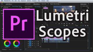 How to UseRead Lumetri Scopes in Premiere Pro CC 2020 [upl. by Huntlee]