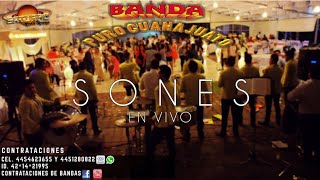 BANDA PURO GUANAJUATO  SONES contrataciones de bandas [upl. by Anirak978]