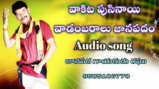 Vaakita poosinaai vaadambaaraalu folk Audio song  Folk singer Raghu 9505106770  vizianagaram [upl. by Gaddi687]