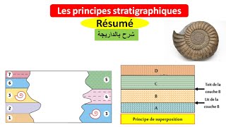 Les principes stratigraphiques et léchelle stratigraphique ملخص بالداريجة [upl. by Twitt]