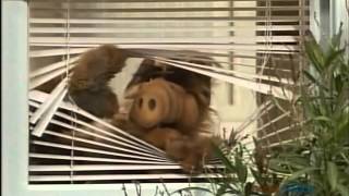 AlF momento gracioso [upl. by Nemad]