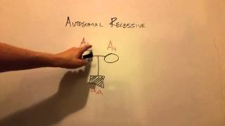 Autosomal Recessive Inheritance [upl. by Merc]