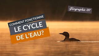 COMMENT fonctionne le CYCLE de lEAU [upl. by Nenerb]