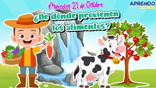 ¿DE DÓNDE PROVIENEN LOS ALIMENTOS 🌱🐄🥛 Miércoles 21  Octubre [upl. by Ahs419]