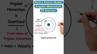 Angular Momentum of Electron bohratomicmodel angularmomentum chemistry [upl. by Raphaela]