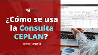 Cómo se usa la Consulta CEPLAN  Teórico practico [upl. by Denbrook]