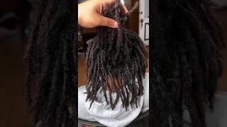 New Style Alert 🔥 locs locstyles locjourney locretwist [upl. by Ajssatsan]