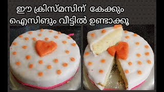 Cake  Cristmas Cake  Recipe in malayalam  No106 [upl. by Ingeberg]