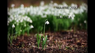 TAROTMARTIE 2022BALANTAROATA NOROCULUI VA ADUCE O NOUA IUBIRE💓 [upl. by Aniala]