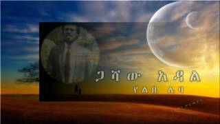 Gashaw Adalየልቤ ሌባYelibe Leba [upl. by Frech453]