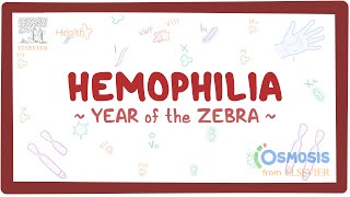 Hemophilia Year of the Zebra [upl. by Aciria675]