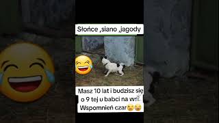 smiesznepodlasie tv1 news film bialystok humorfunny comedy [upl. by Eiramac995]