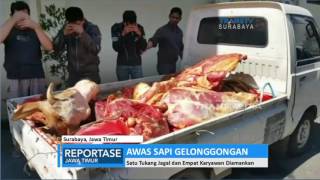 Awas Daging Sapi Gelonggongan [upl. by Euphemie782]