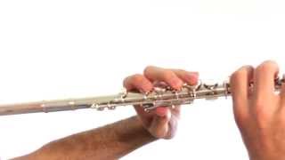 Instrument Flute [upl. by Ainocal]