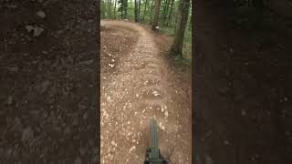 Bikepark Albstadt shorts mtb youtube funny shortsvideo shortsfeed viral [upl. by Ahtela]