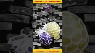 TURTLES 🐢🆚 SLADER MACHINE 😲 FOOTBALL ⚽🆚 HYDRAULIC PRESS sorts trending sladermachine [upl. by Najram]