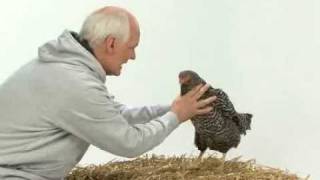 Colin Mochrie Gives a Pep Talk to a Chicken  World Vision [upl. by Eiroj]