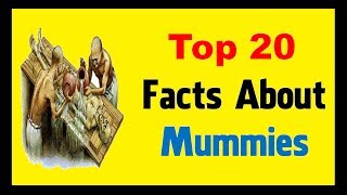 Mummies  Facts [upl. by Felise]