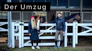 Wohnen und Leben mit unseren Pferden 🐴 Ein Traum geht in Erfüllung  Team Inleobo [upl. by Klotz]