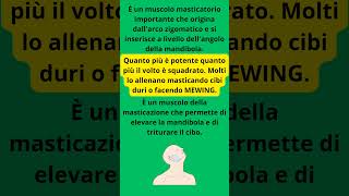 Il muscolo più potente del corpo umano il massetere come allenarlo [upl. by Donovan]