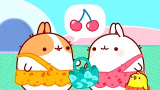 Molang 💚 Trái cherry 💚 Phim Hoạt Hình Vui Nhộn Cho Trẻ EmEm [upl. by Roxi105]