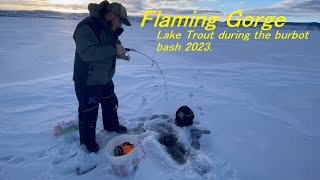 Burbot Bash 2023 Flaming Gorge Reservoir Ice Fishing [upl. by Harbour]