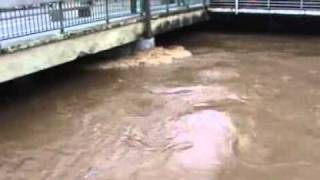 Eschweiler Hochwasser der Inde 2011 [upl. by Aigroeg]