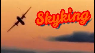 Skyking  The Final Tribute [upl. by Demitria]