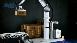 Automatic Robotic Palletizer Systems For Carton Hualian HPR25 [upl. by Gierc290]