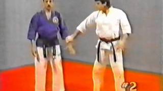 Hapkido 2 Wrist Techniques [upl. by Burd]