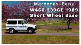 【 Mercedes Benz W460 230GE 1989】Short Wheel Base [upl. by Ardnuhs]