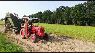 Kartoffeln Roden mit McCormick D214 und Hassia Kartoffelroder [upl. by Venetis]